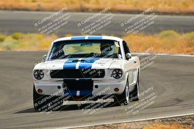 media/Oct-26-2024-Cobra Club (Sat) [[ed594ebad6]]/White Group/Session 2 (Turn 4)/